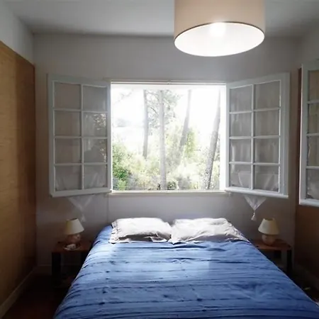 House - Parc De : Maison Au Calme Proximite Commerce Et Plage Royan